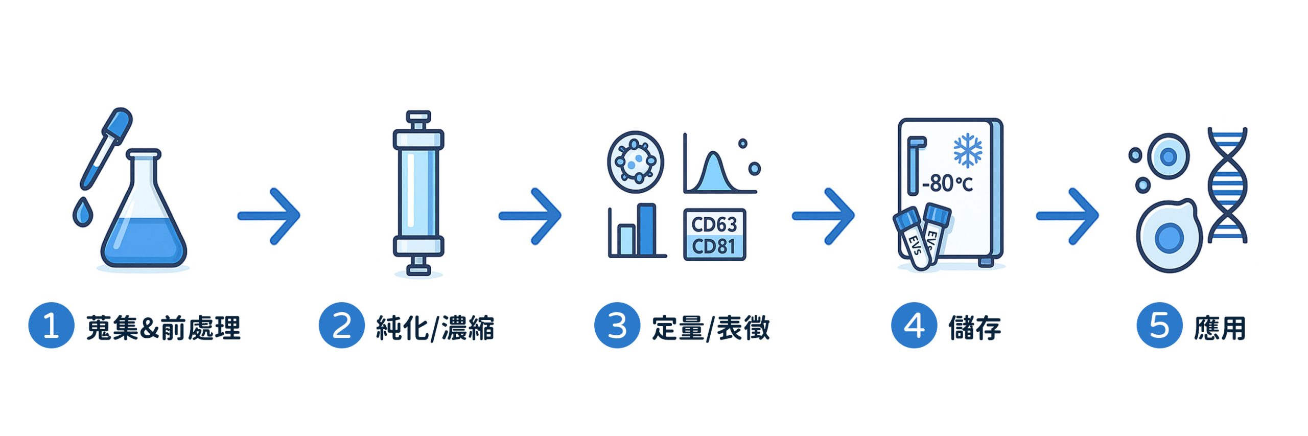 EVs 研究新手必讀：從樣品到結(jié)果的4個(gè)步驟